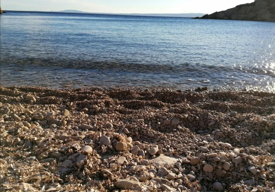 Apartments Vesna Pinezici  Croatia