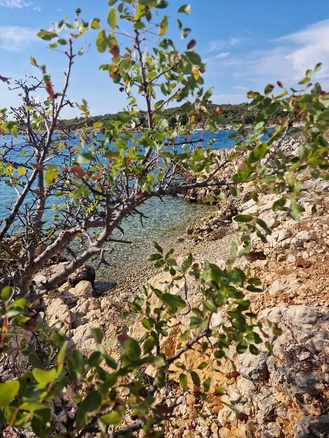Apartments Vesna Pinezici  Croatia